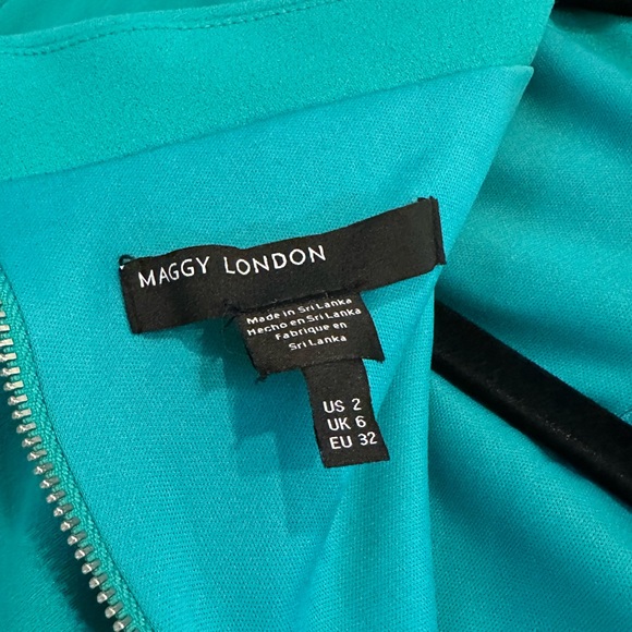 Maggy London Blue Ruched Sheath Dress with Cowl Neck and Short Sleeves - Picture 4 of 4